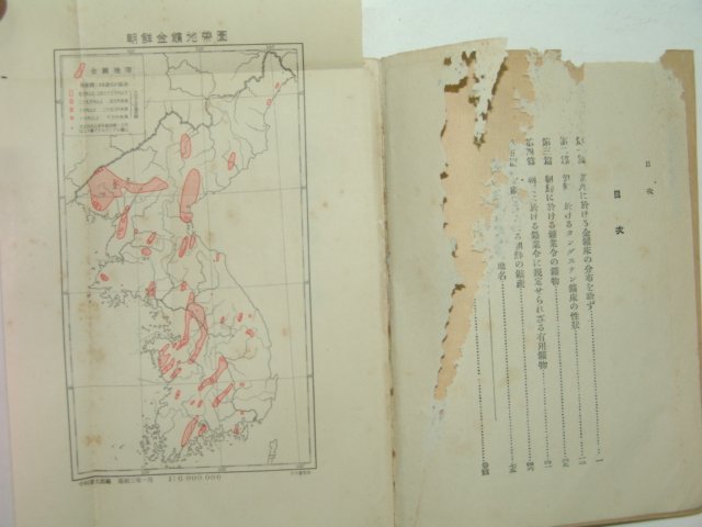 1928년 조선광상론&편린