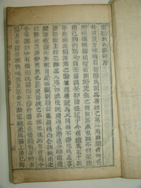 1894년 목활자본간행 밀성박씨파보 2책완질