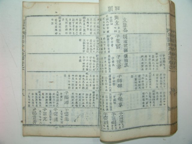 1894년 목활자본간행 밀성박씨파보 2책완질