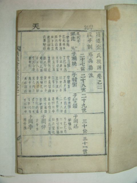 1912년 목활자본 청도김씨파보(淸道金氏派譜)2책완질