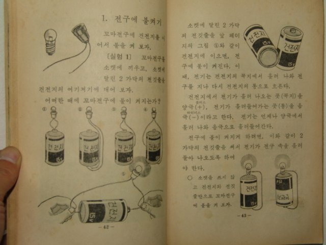 1969년 자연 4-2