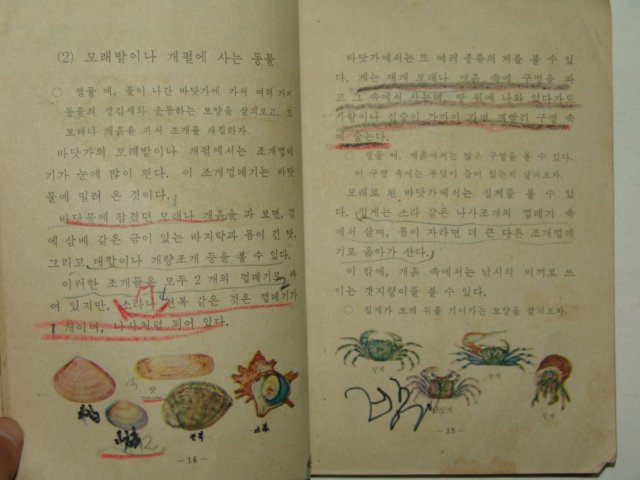 1971년 자연 4-2