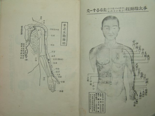 1956년 교정십혈경락도보 1책완질