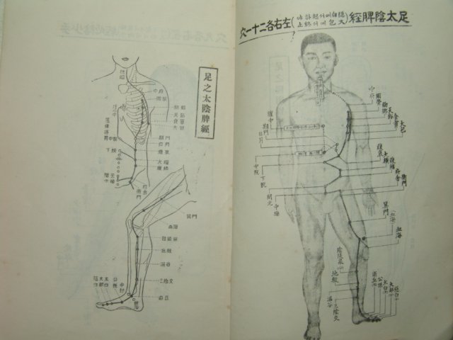 1956년 교정십혈경락도보 1책완질