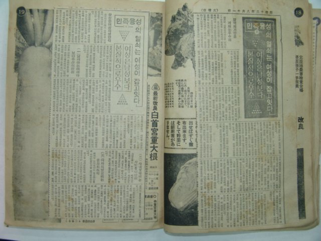 1937년경성간행 부국원월보(1937년 동아일보 스크랩)