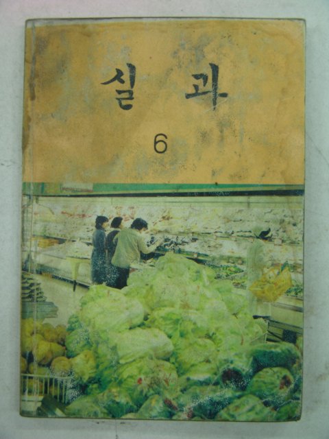 1983년 실과 6