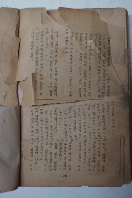 1950년 심숭(沈崧) 애생금(哀生琴)