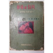 단기4293년초판 지헌모(池憲模) 最後의 白凡 金九先生 가시던 날