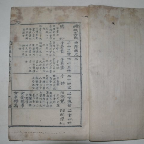1850년 목활자본 능성구씨세보(綾城具氏世譜)권1,2,4終 3책