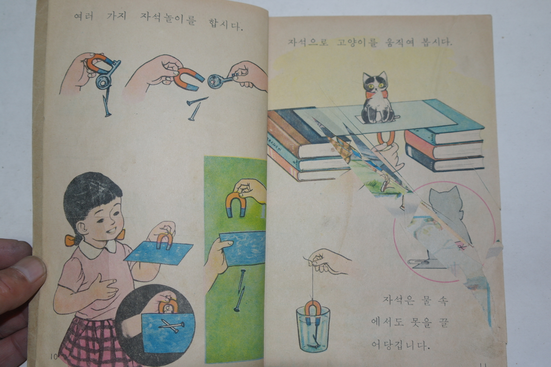 1969년 자연 1-2