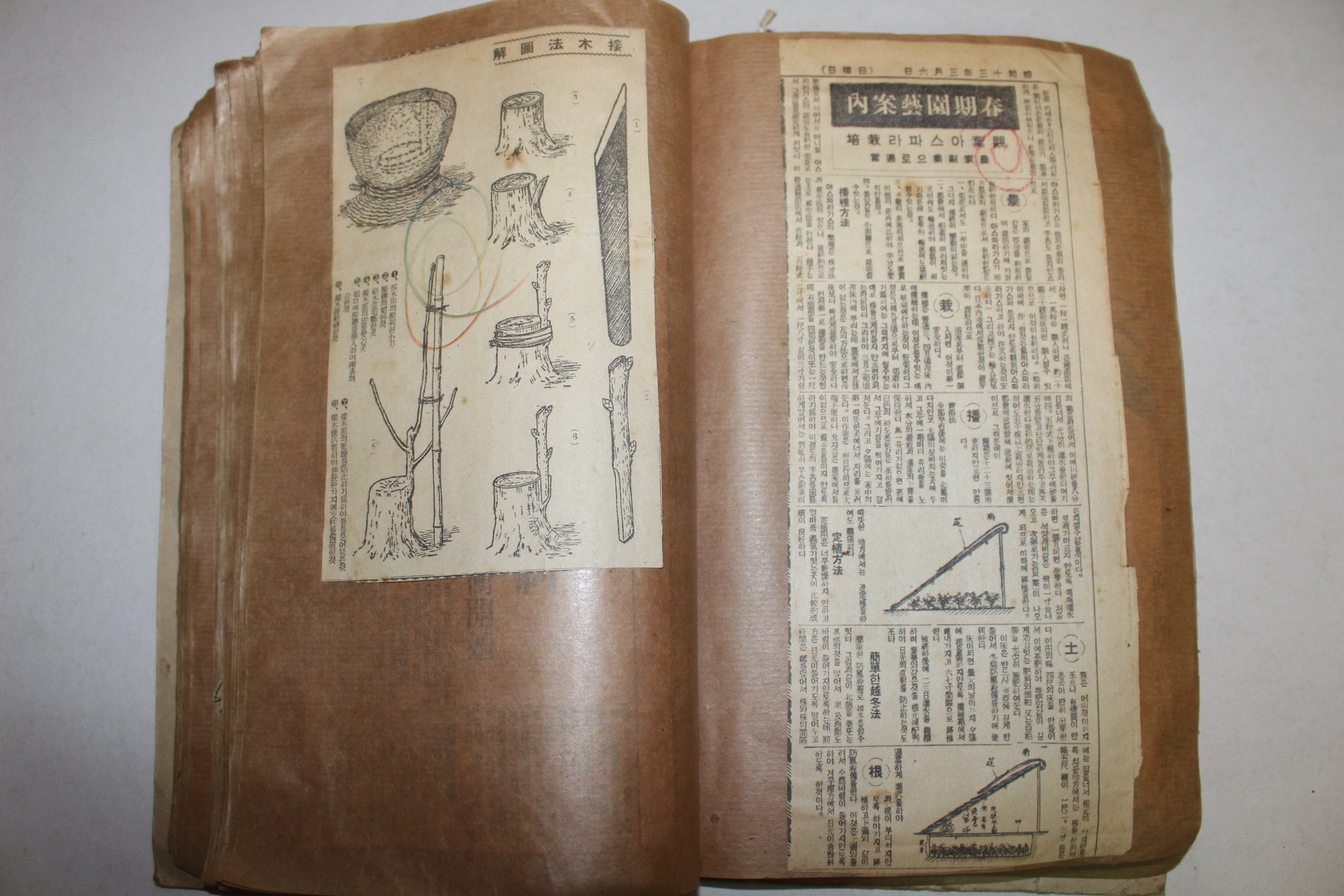 1937년,38년 동아일보신문 편철일괄 123장