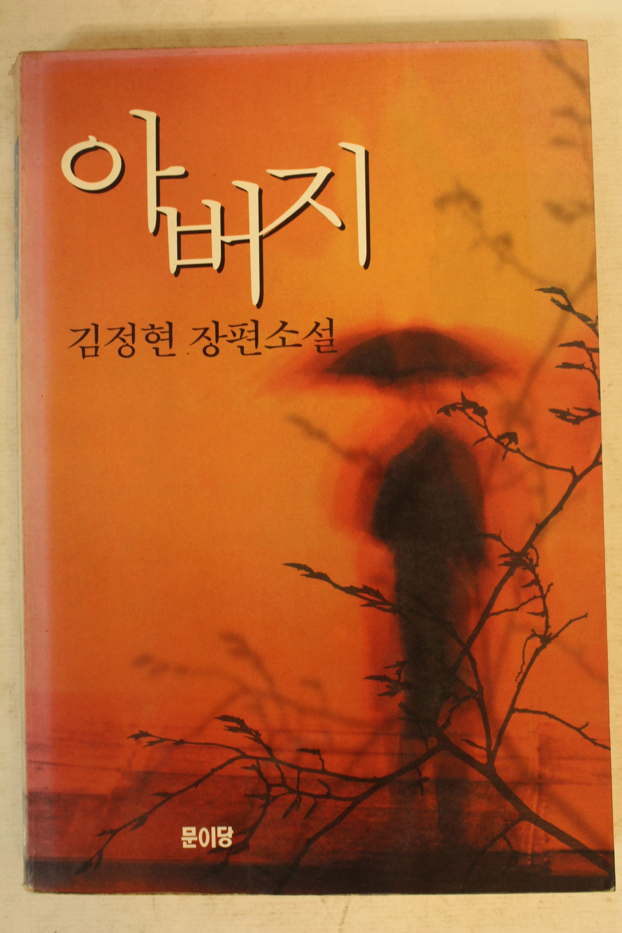 1996년 김정현장편소설 아버지