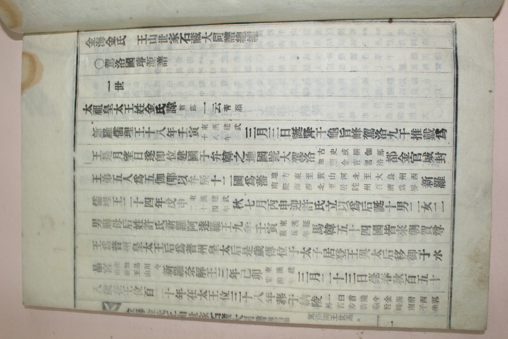 1925년 김해김씨왕산세가석장대동보(金海金氏王山世家石藏大同譜)수권 2책