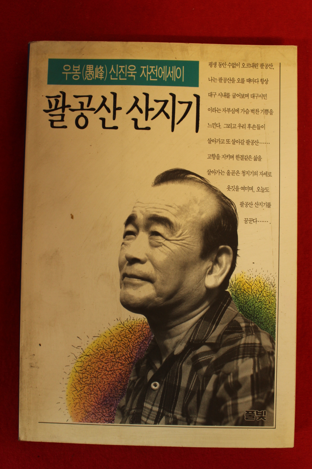 1994년초판2쇄 우봉신진욱 팔공산산지기