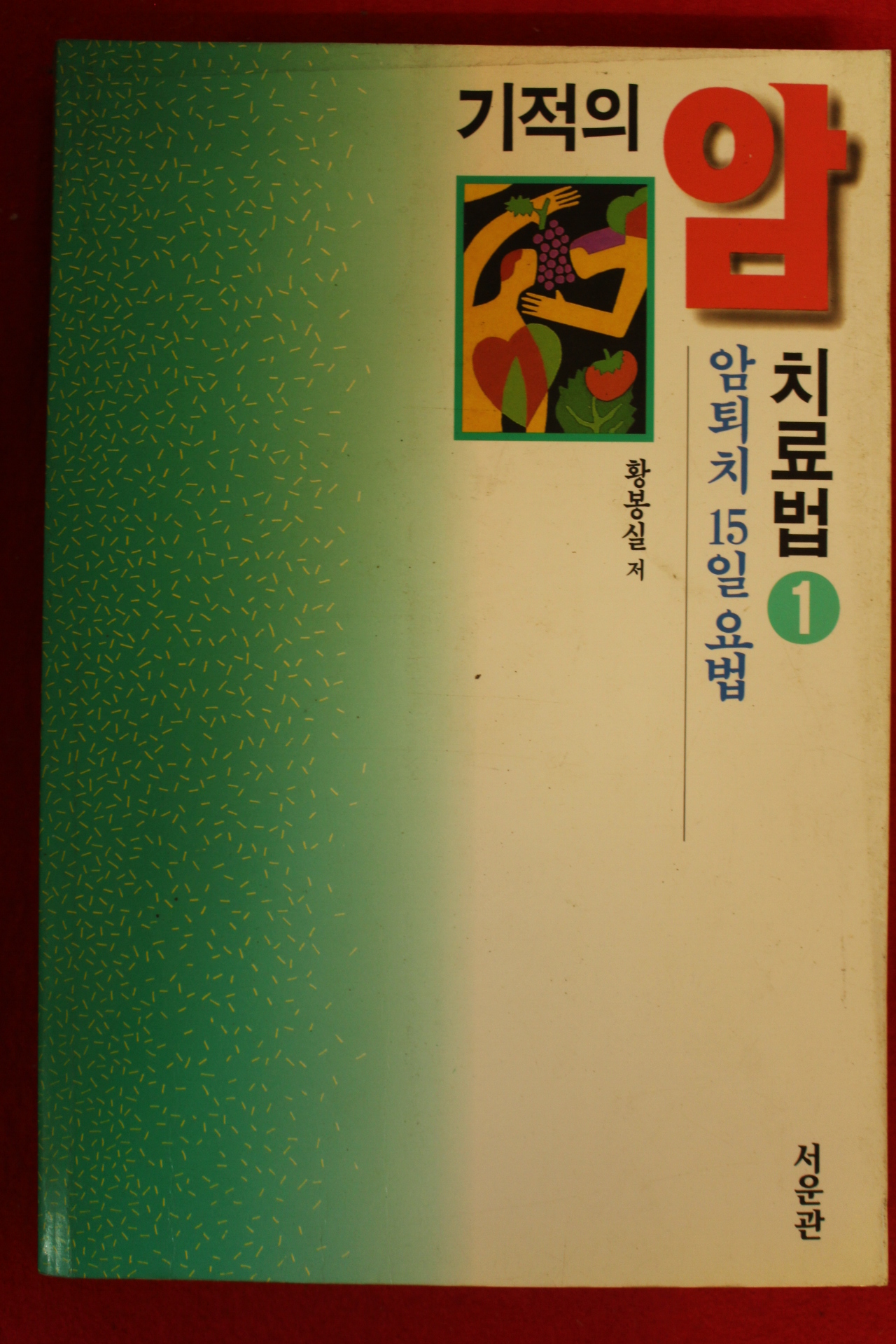 1995년 황봉실 기적의 암치료법 1