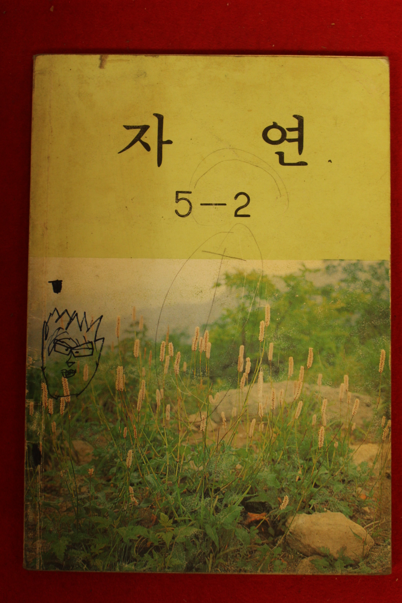 1995년 자연 5-2