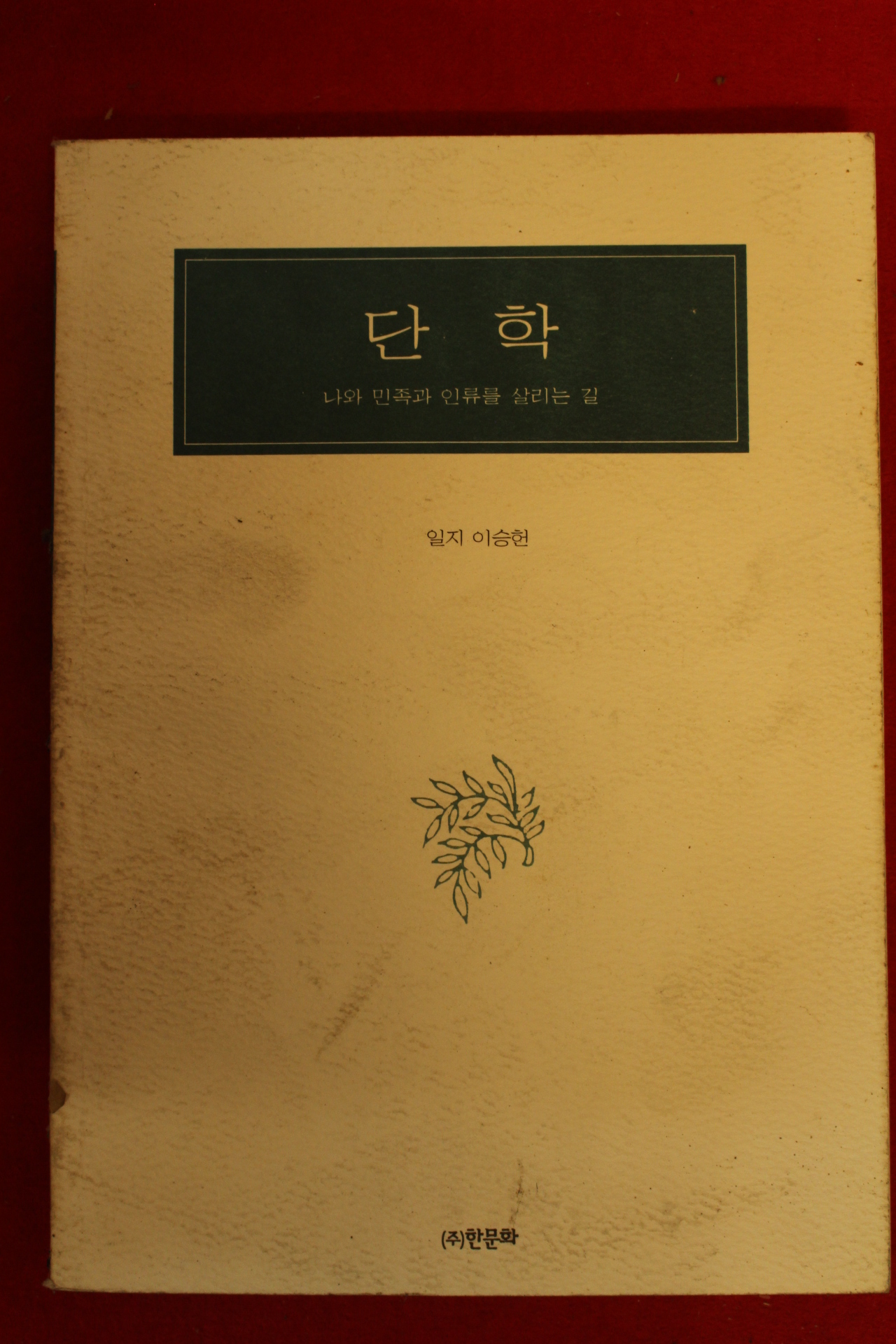 1996년 이승헌 단학