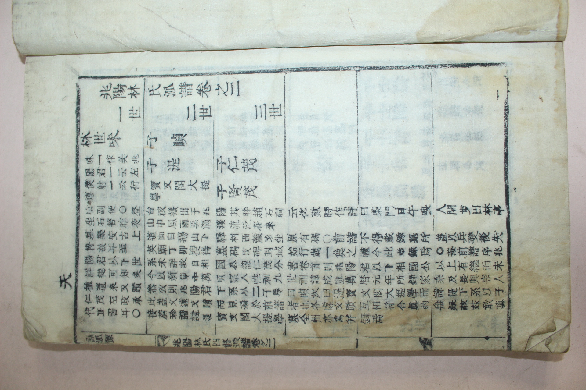 1912년 보성 목활자본 북양임씨사수파보(北陽林氏四修派譜)권1,2  2책