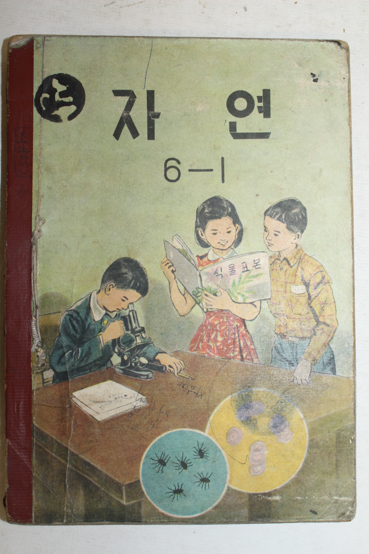 1963년 자연 6-1