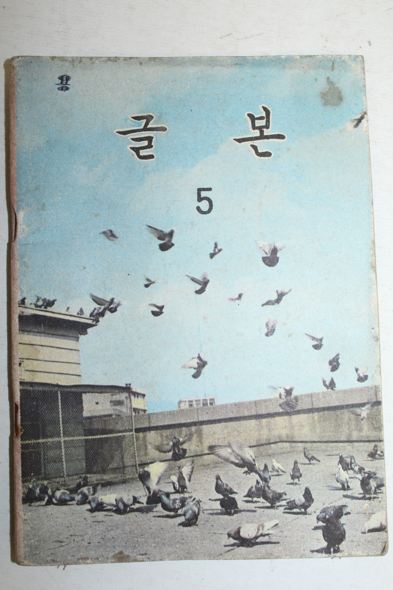 1971년 글본 5