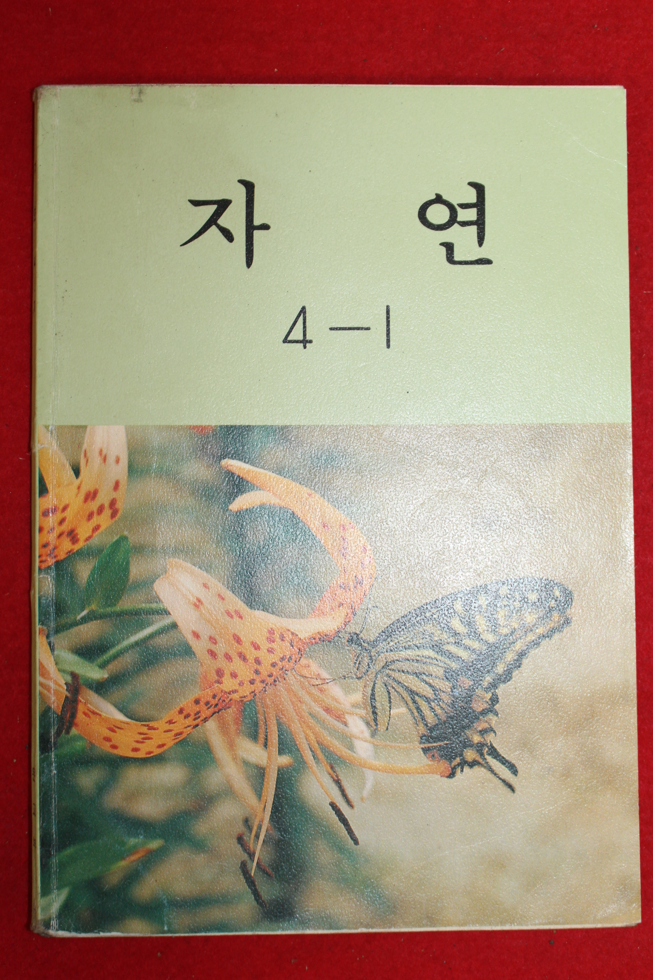 1990년 자연 4-1