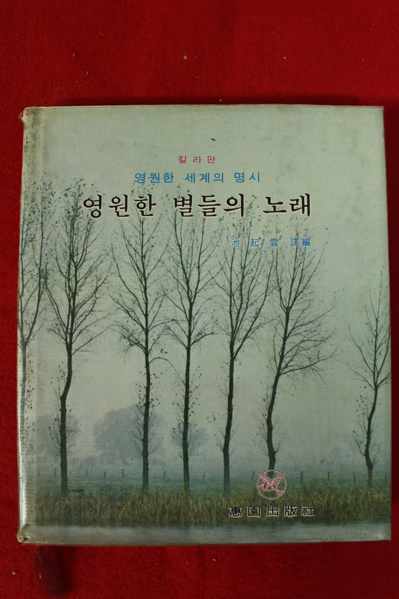 1981년 지기운(池起雲) 영원한 별들의 노래