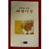 1997년초판 신중혁 패랭이꽃