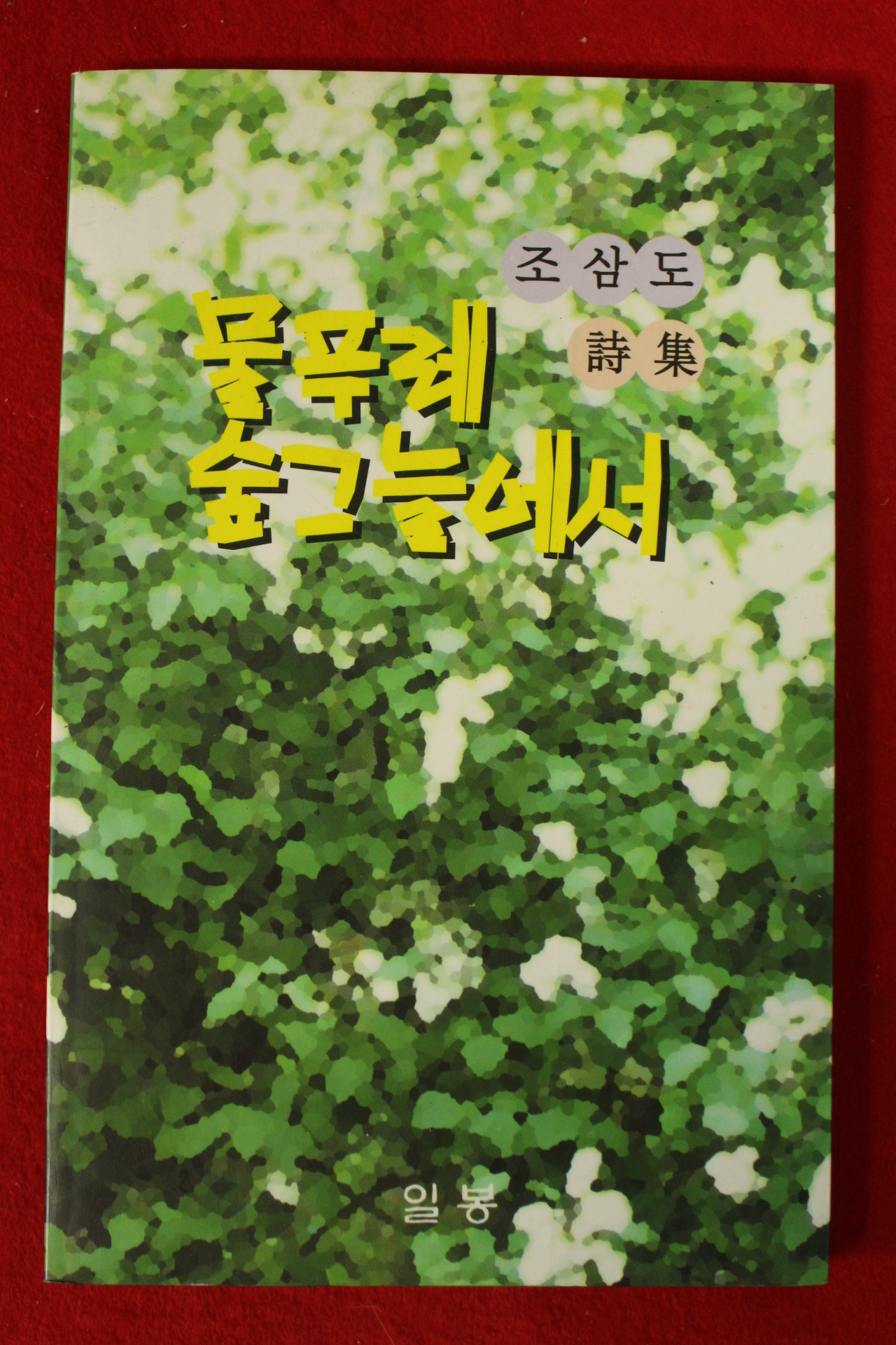 1998년초판 조삼도시집 물푸레 숲그늘에서(저자싸인본)