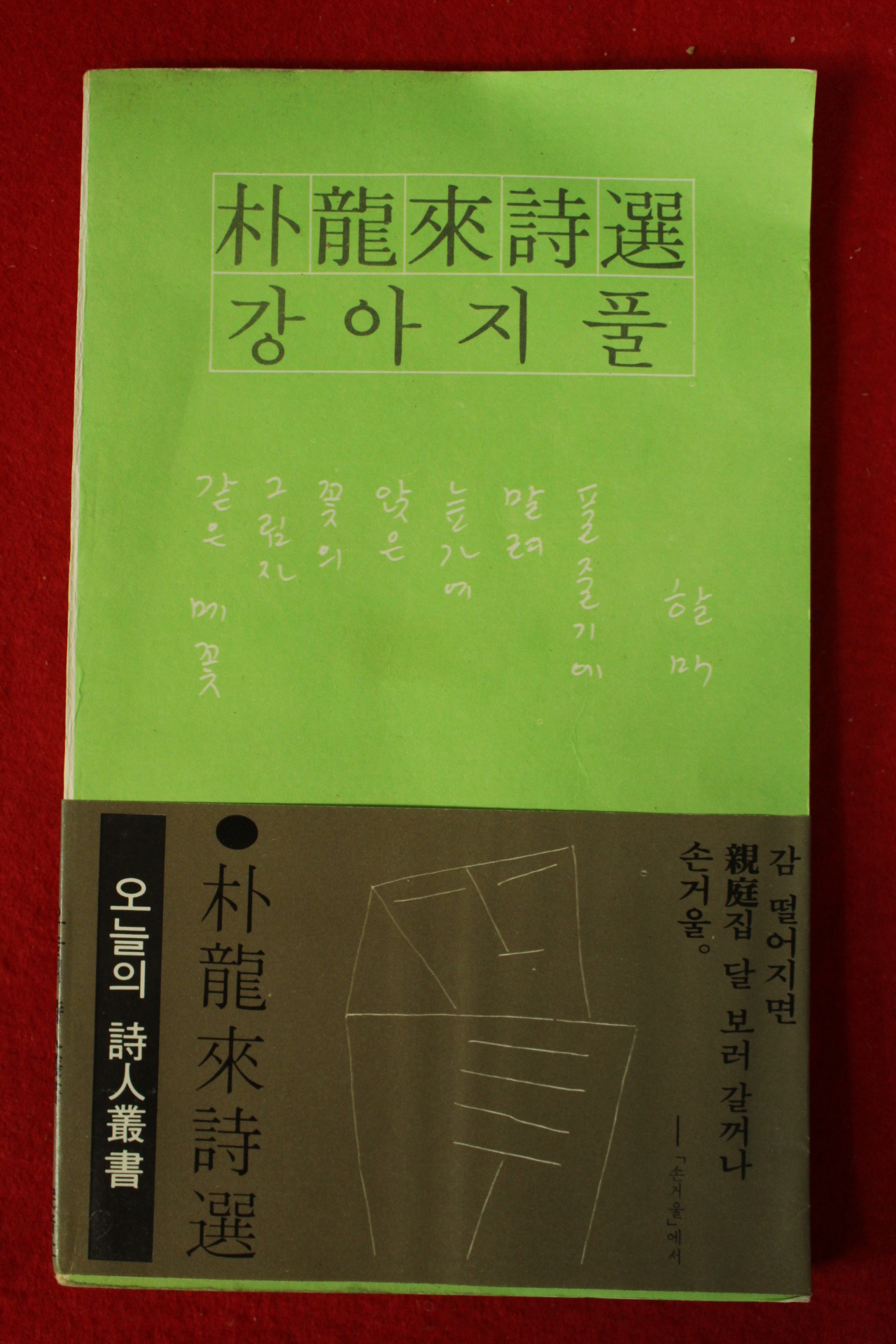 1981년 박용래시집 강아지풀