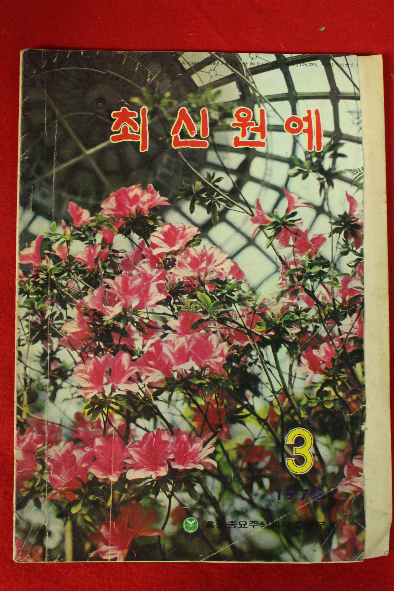 1970년 최신원예 3월호