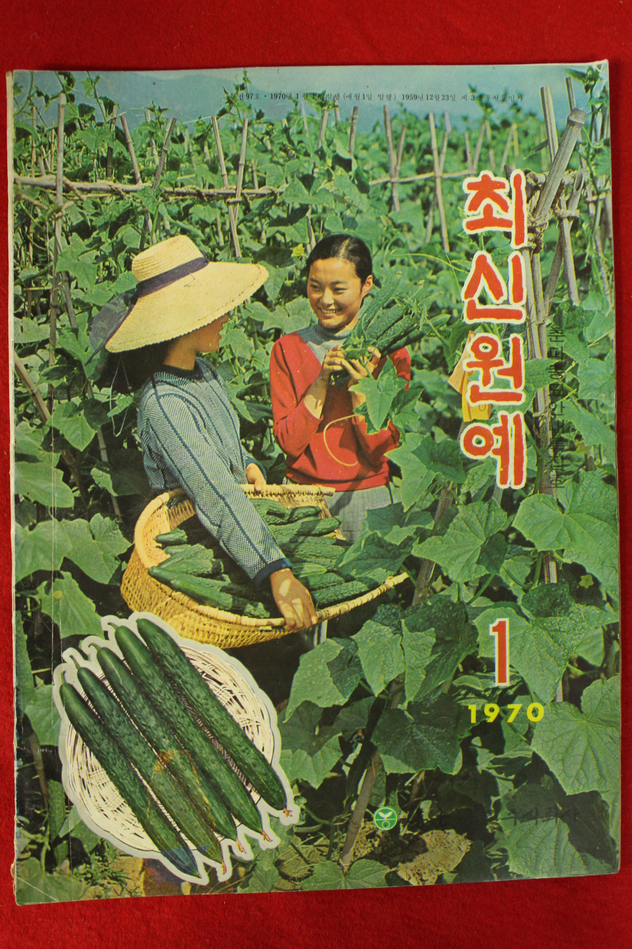 1970년 최신원예 1월호