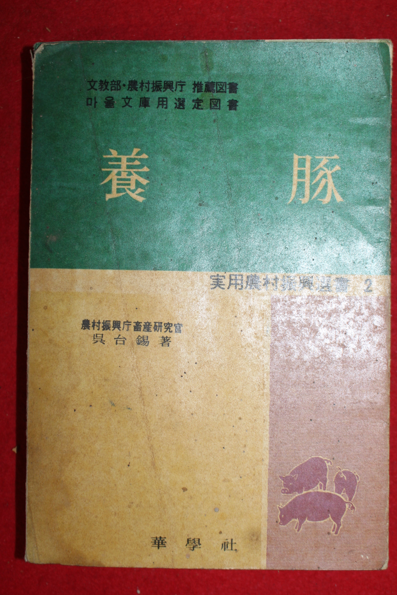 1967년 양돈(養豚)