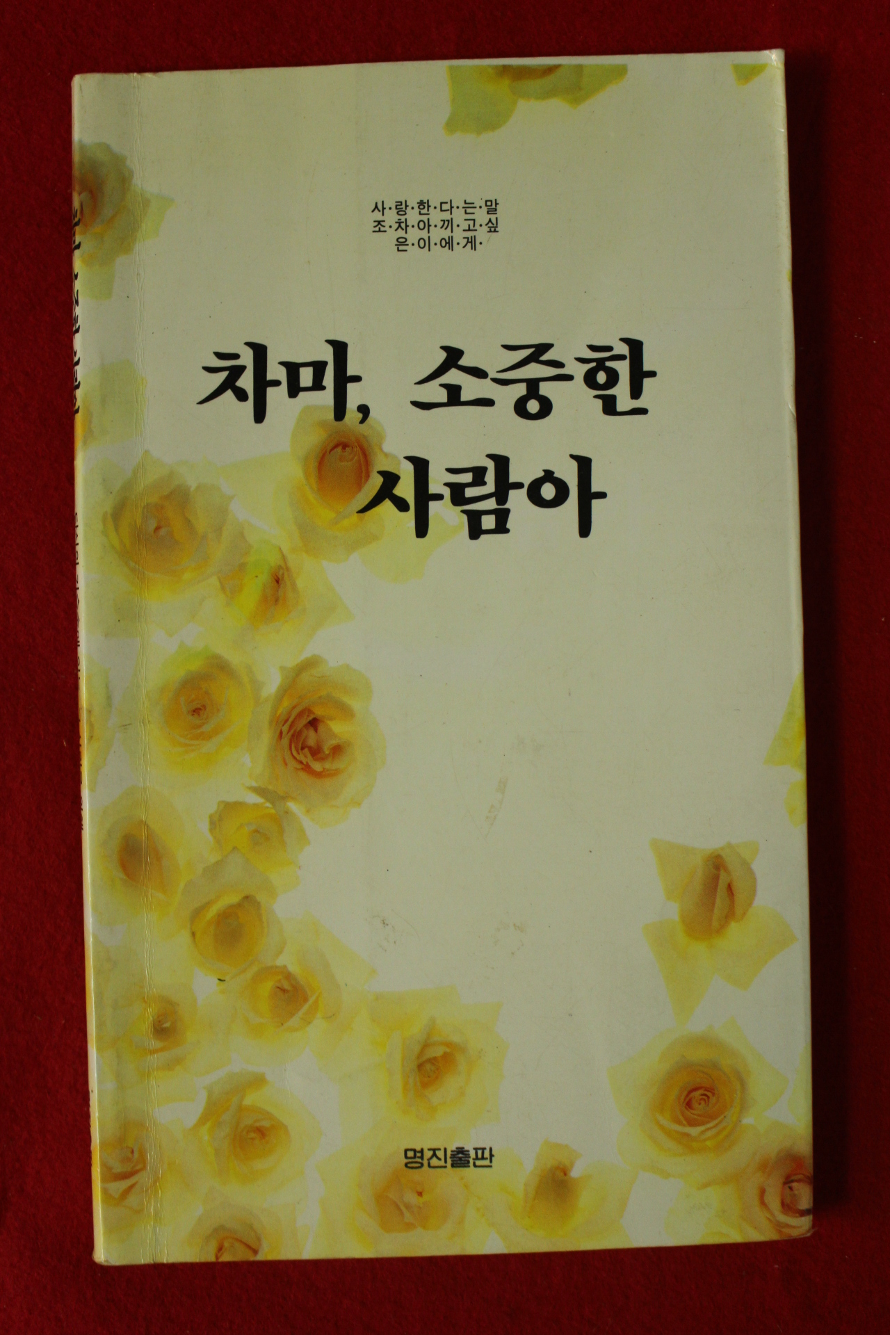 1991년 강은교외 차마 소중한 사람아