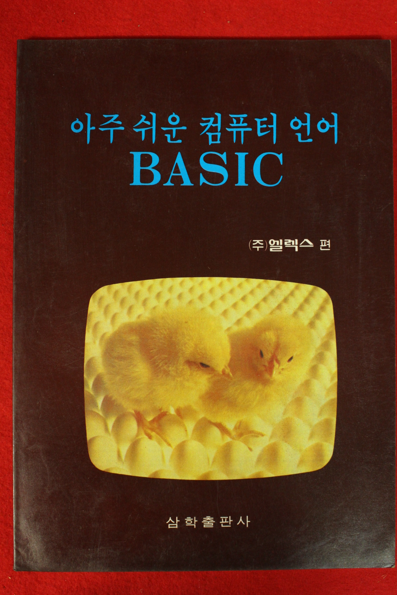 1983년 아주쉬은 컴퓨터언어 BASIC