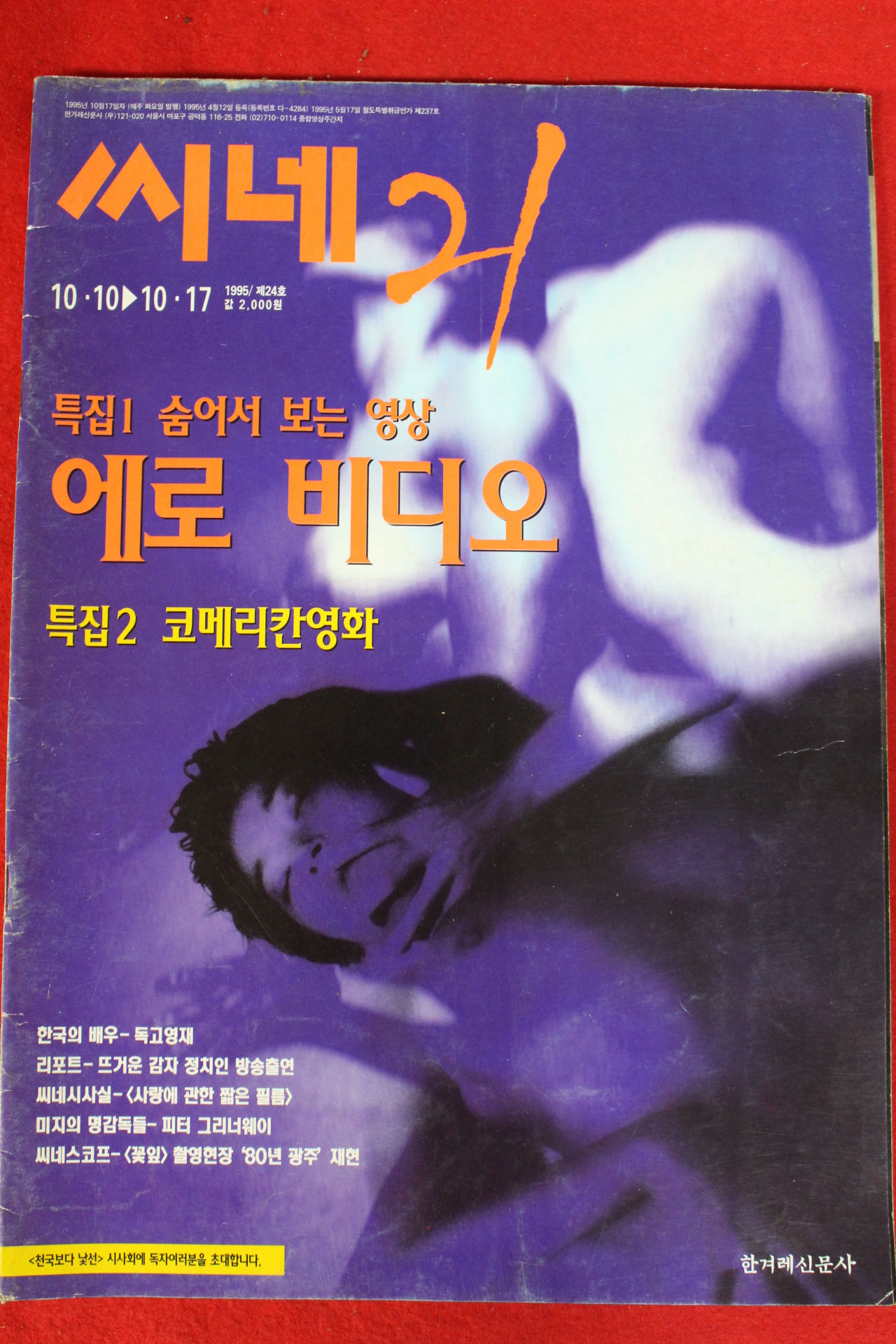 1995년 씨네21  10월10일자