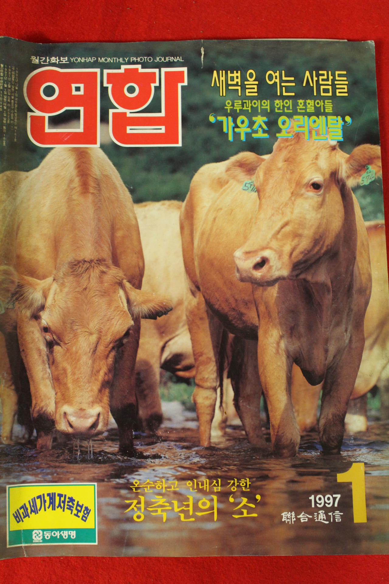 1997년 연합 1월호