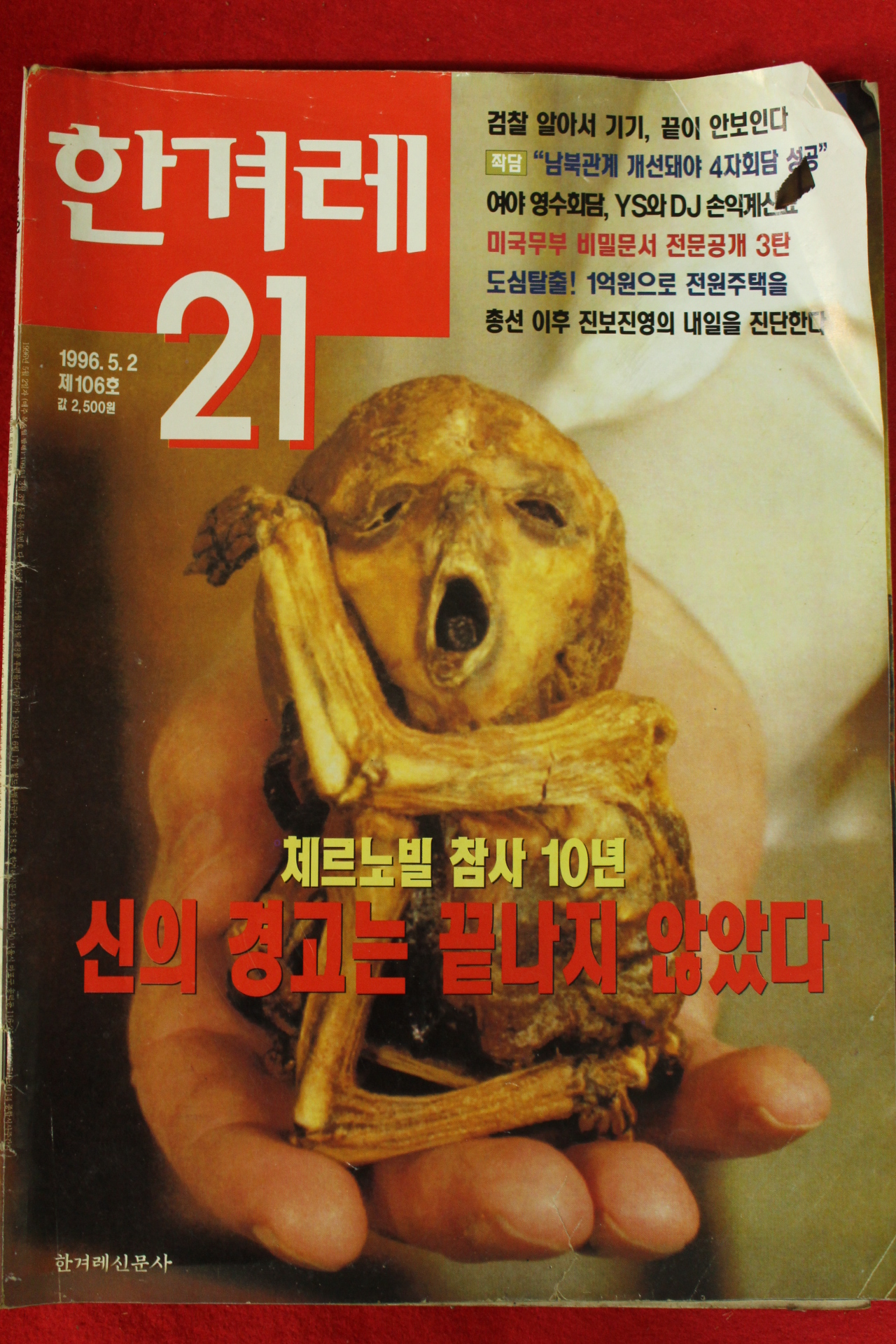 1996년 한겨레21 5월2일자