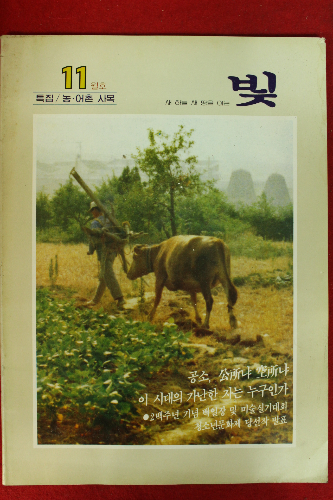 1984년 천주교 빛 11월호