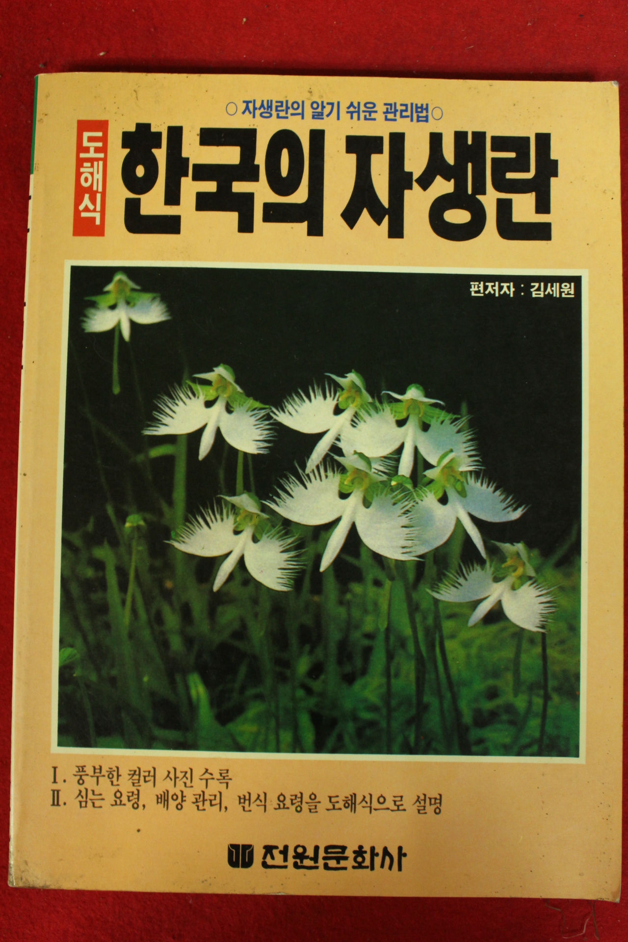 1991년 한국의 자생란