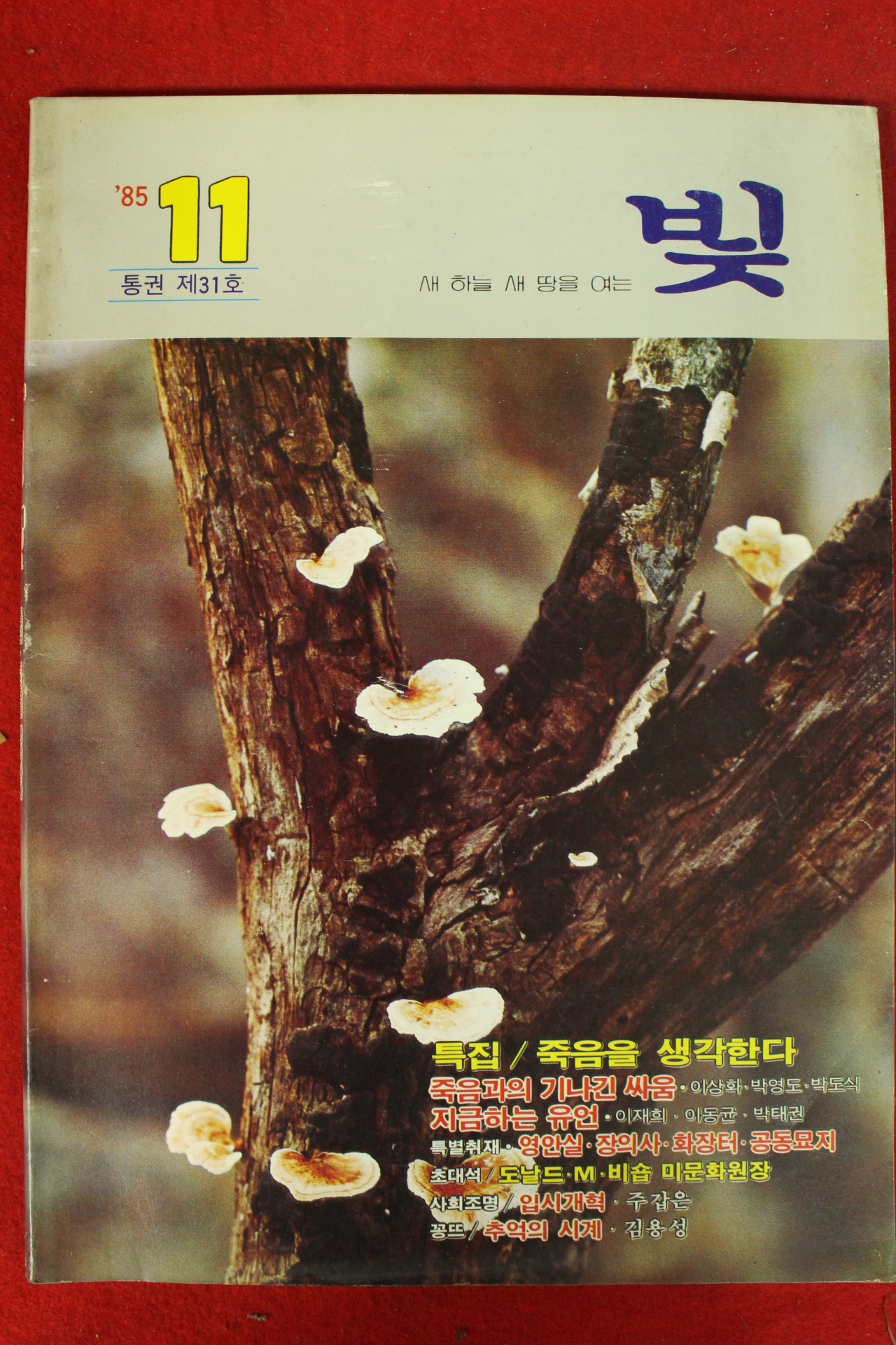 1985년 천주교 빛 11월호