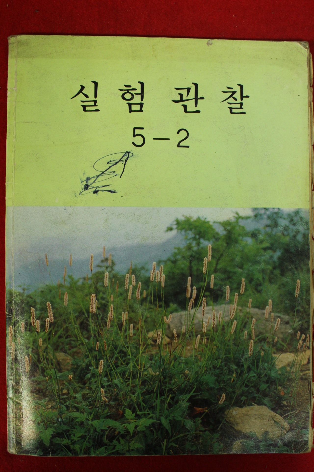 1995년 실험관찰 2-2