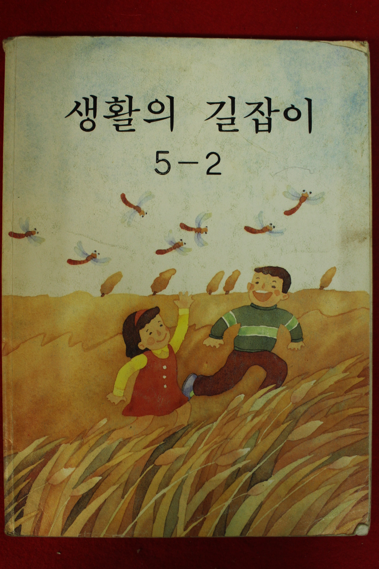 1995년 생활과 길잡이 5-2