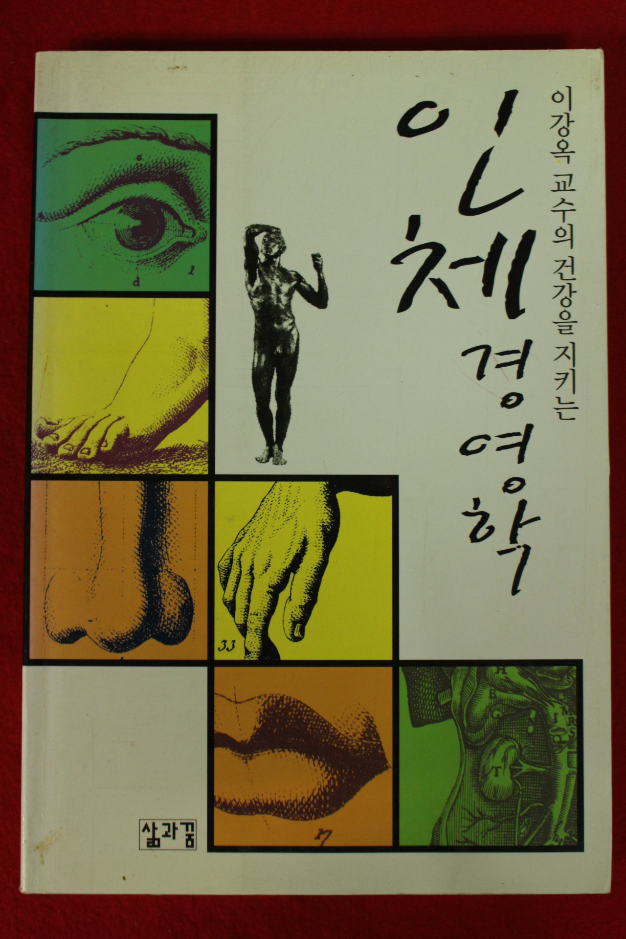 1999년 이강옥 인체경영학