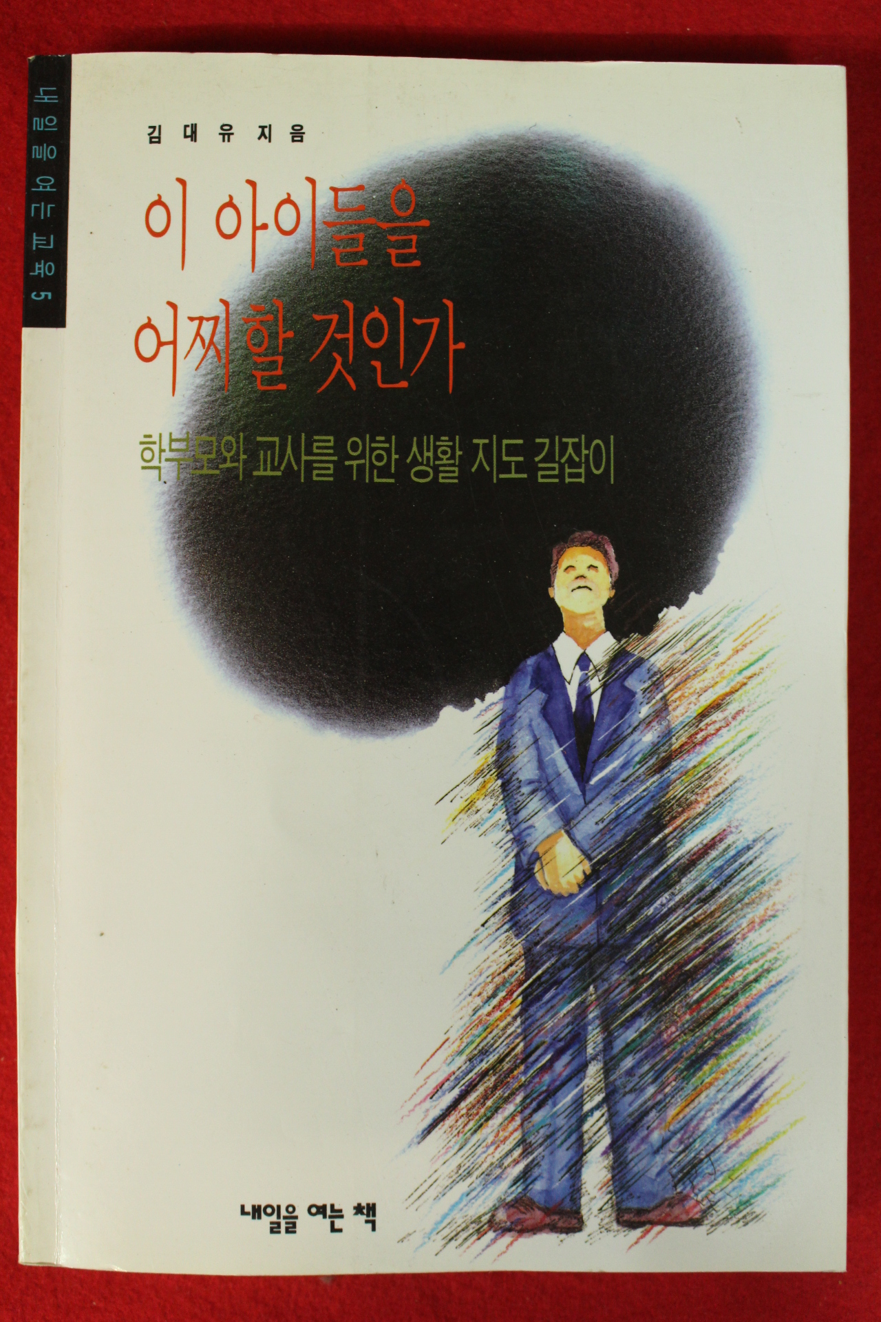 1995년초판 김대유 이 아이들을 어찌할것인가