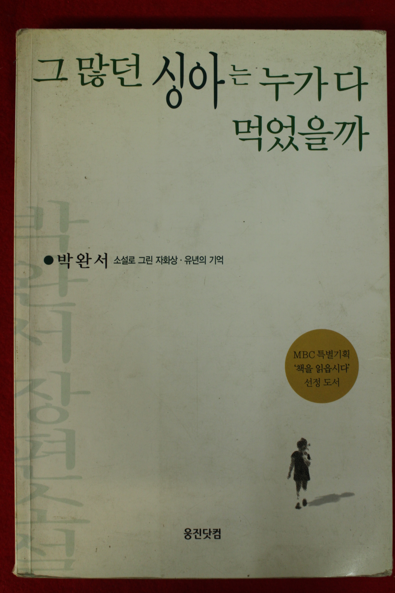 2002년 박완서 그많던 싱아는 누가 다 먹었을까