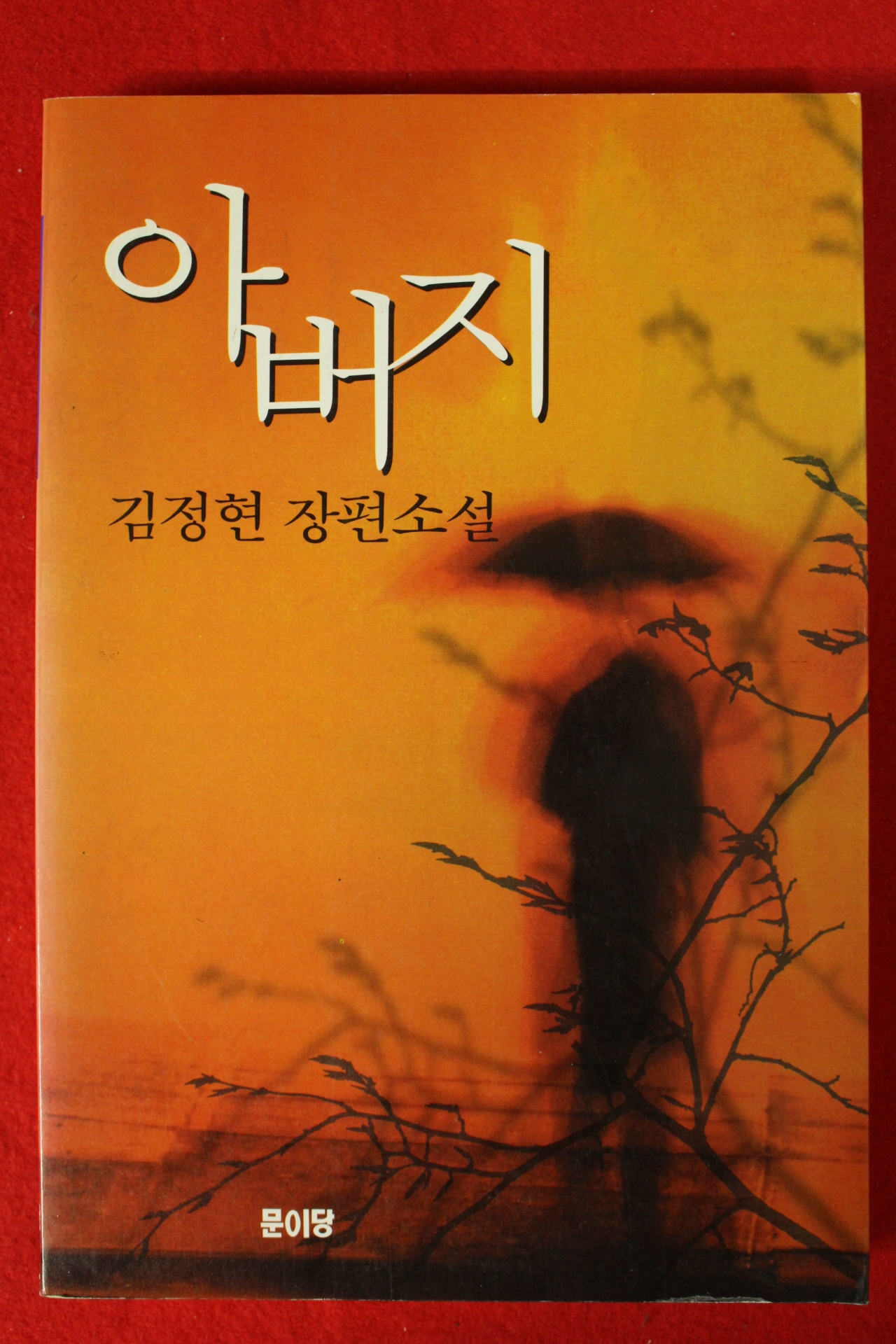 1997년 김정현 장편소설 아버지