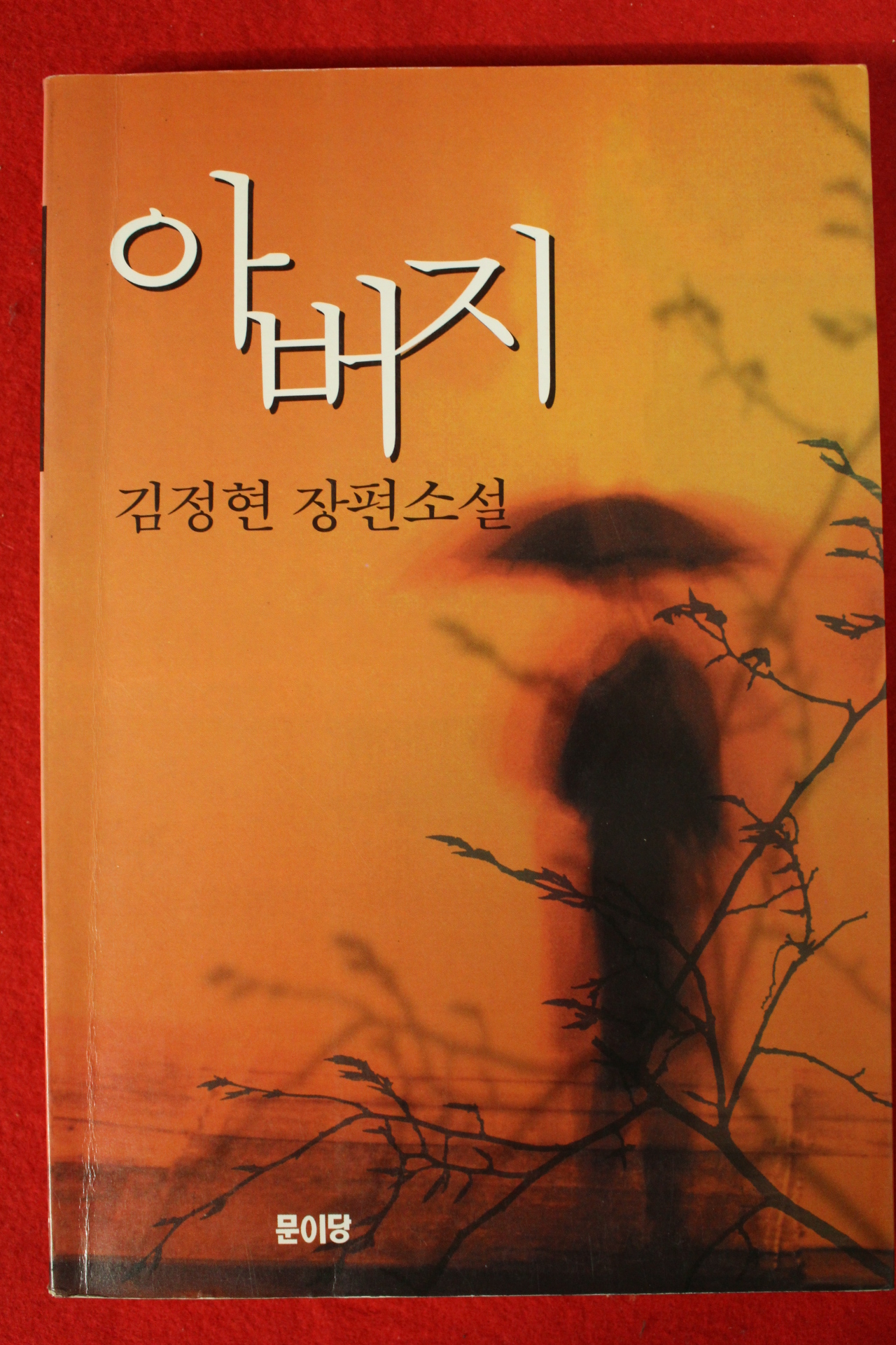 1996년 김정현 장편소설 아버지