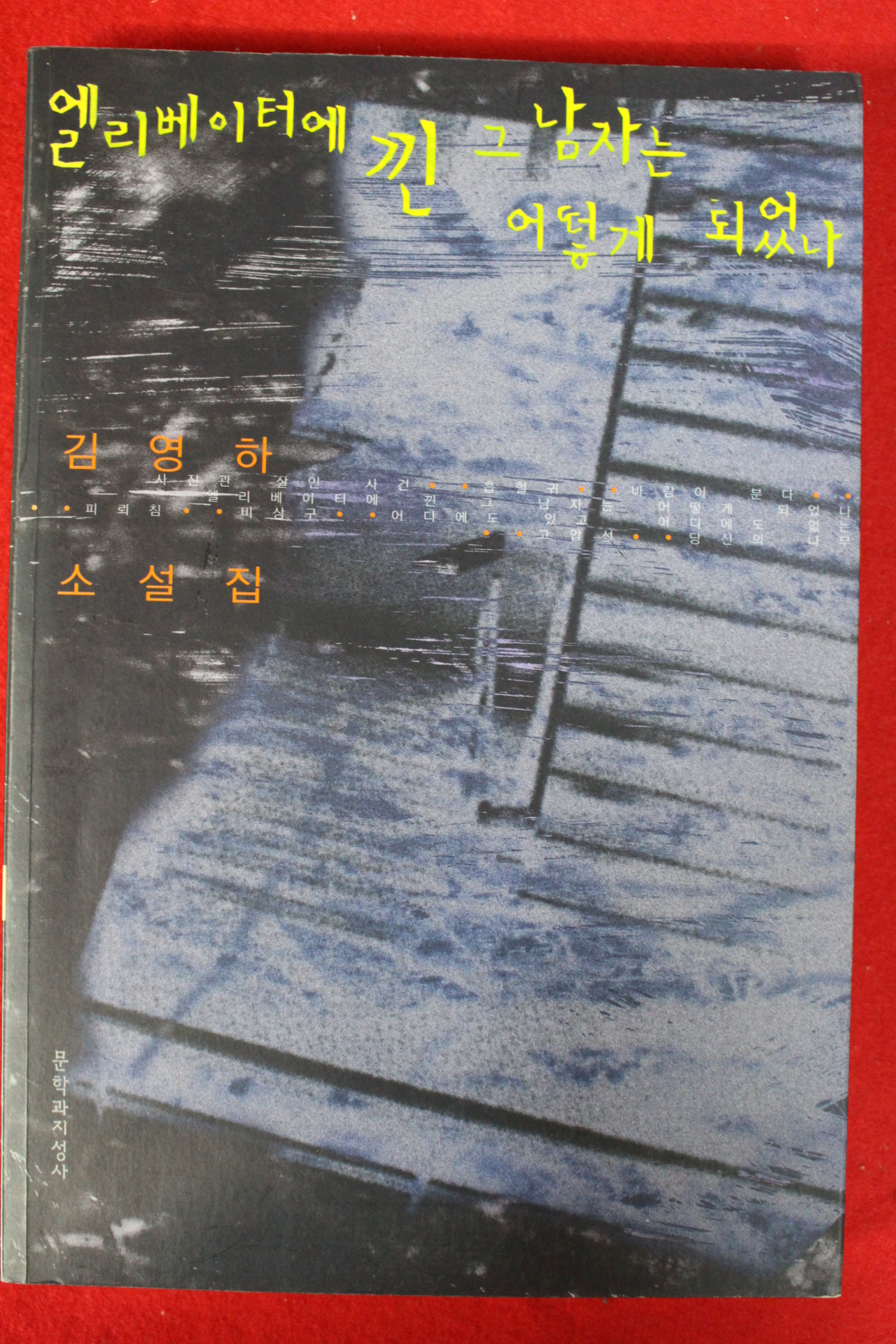 2005년 김영하 소설 엘리베이터에 낀 그 남자는 어떻게 되었나