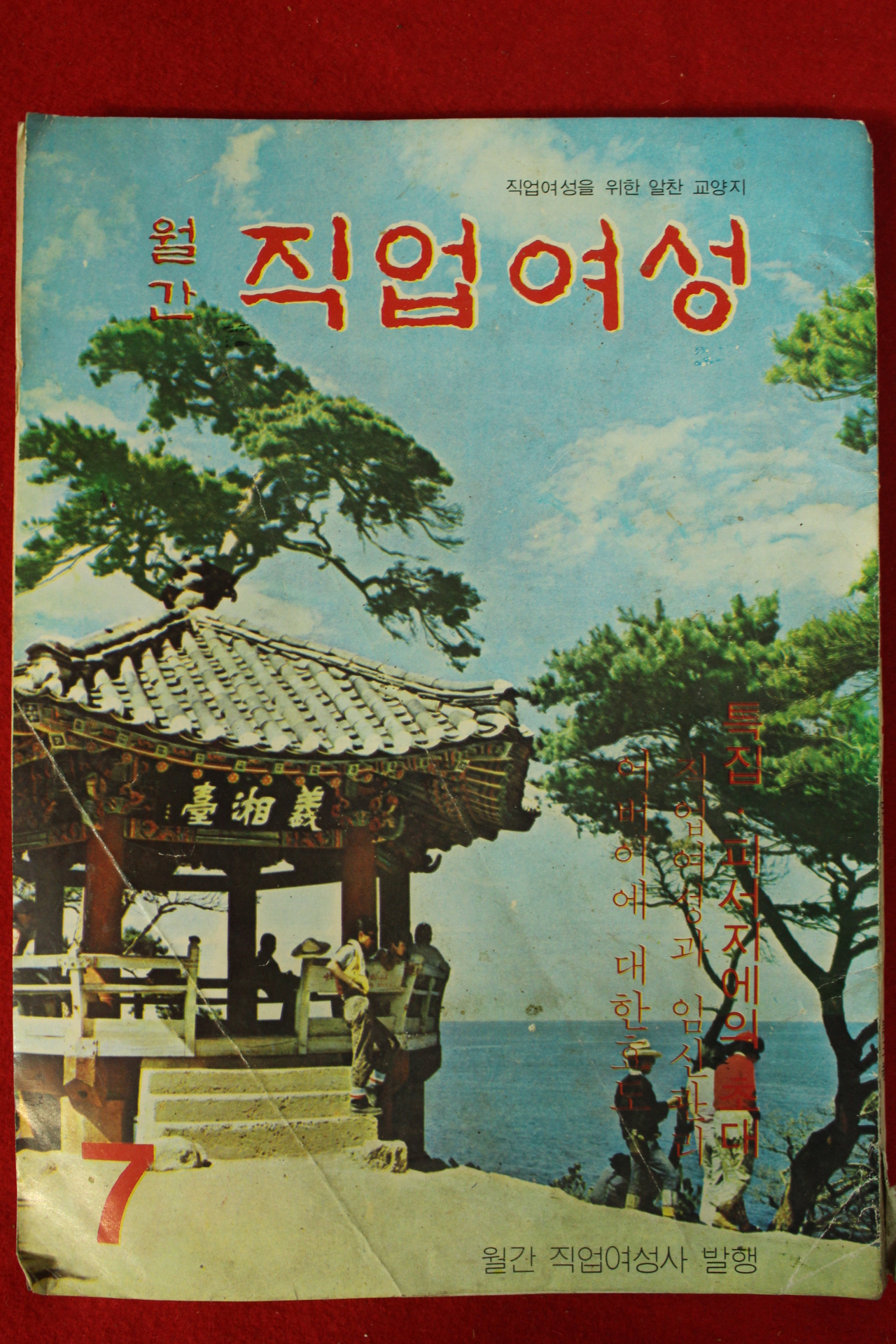 1973년 월간 직업여성