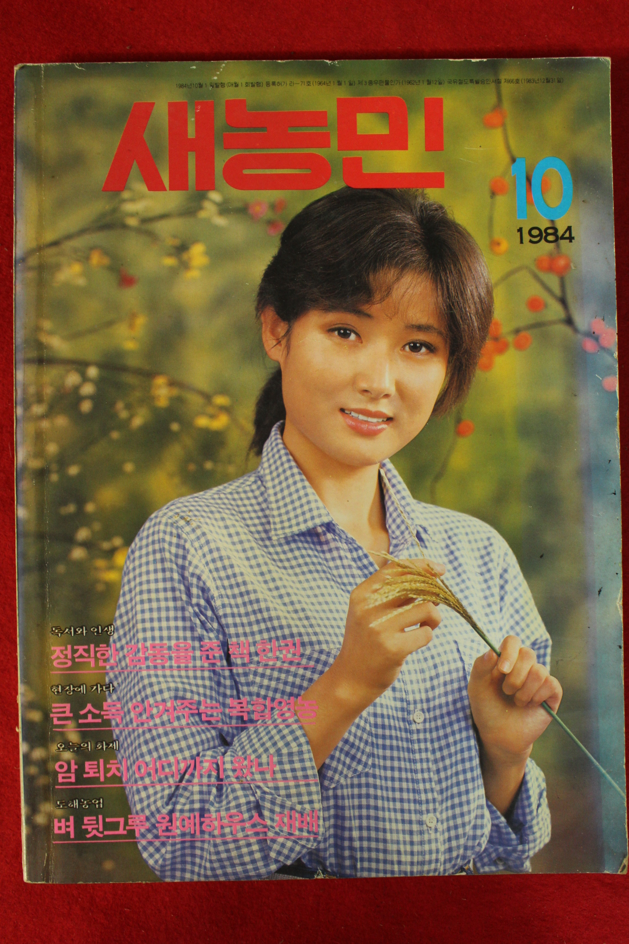 1984년 새농민 10월호